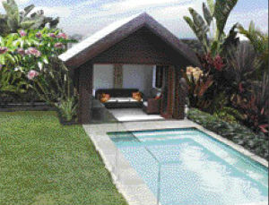 Tropical Treat